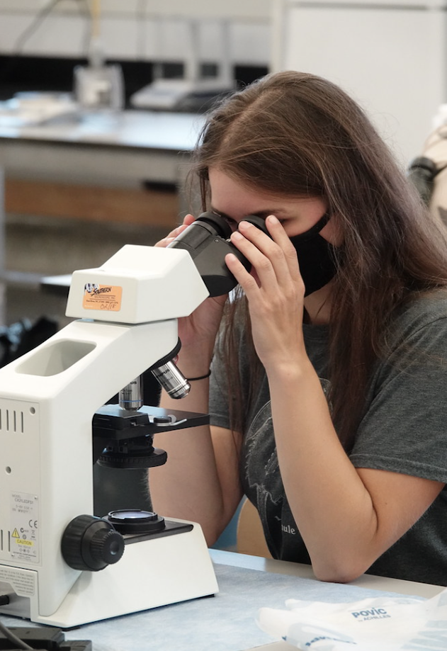 Student looking through a microscopic