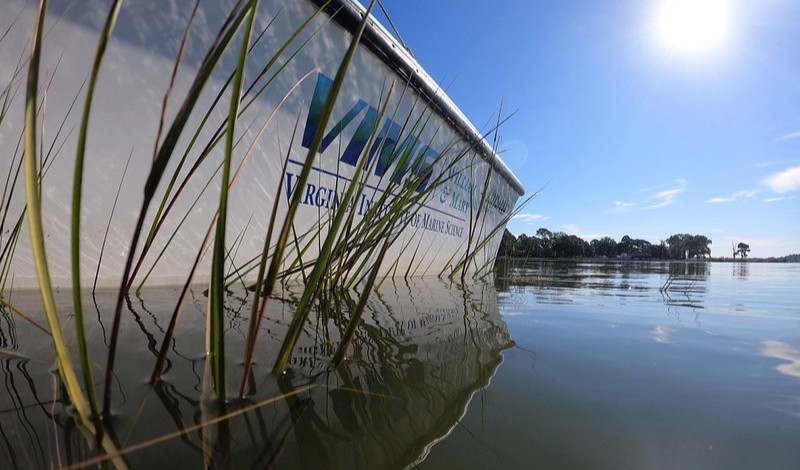 research vessel in marsh grass