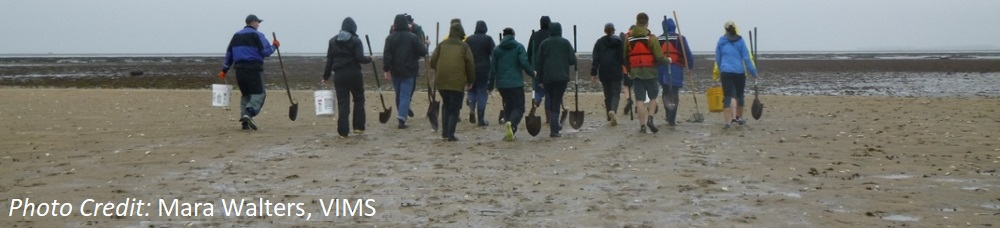 Students in the field heading to collect samples