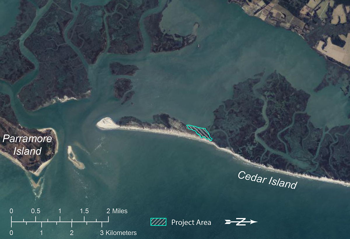 An aerial view of Cedar Island from spring 2025 showing the location of the project site. Background image provided by the Virginia Geographic Information Network.