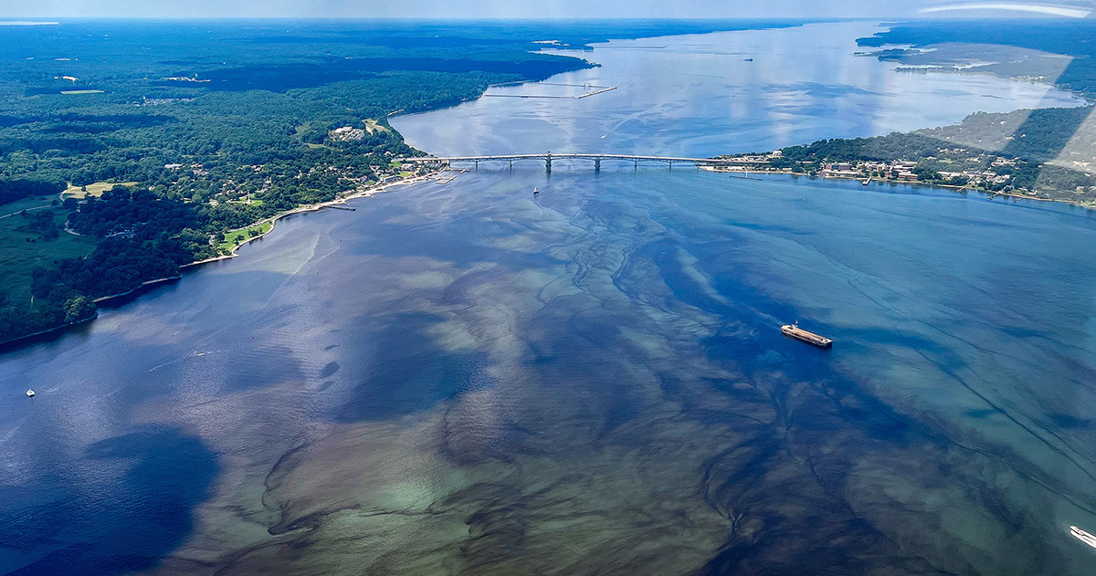 York River Bloom Dead Zone Social