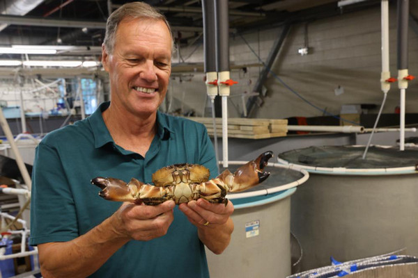 Professor Rom Lipcius holding Stone Crab