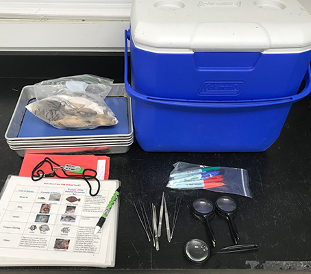 box with fish adaptation supplies