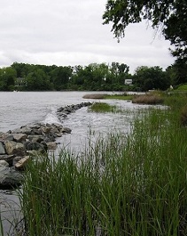 Marsh grasses along a shoreline with a rock breakwater extending into the water.
