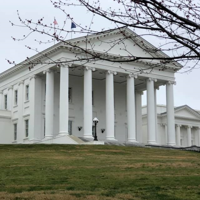 Virginia state capitol building with tall columns on a grassy hill, with flags on the roof and bare tree branches in the foreground.