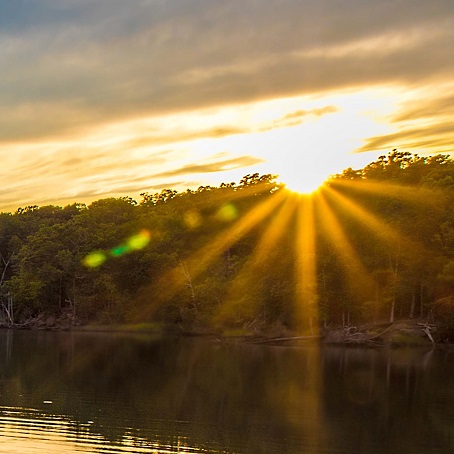 Sun setting over a tree-lined shoreline with rays of light reflecting on calm water.