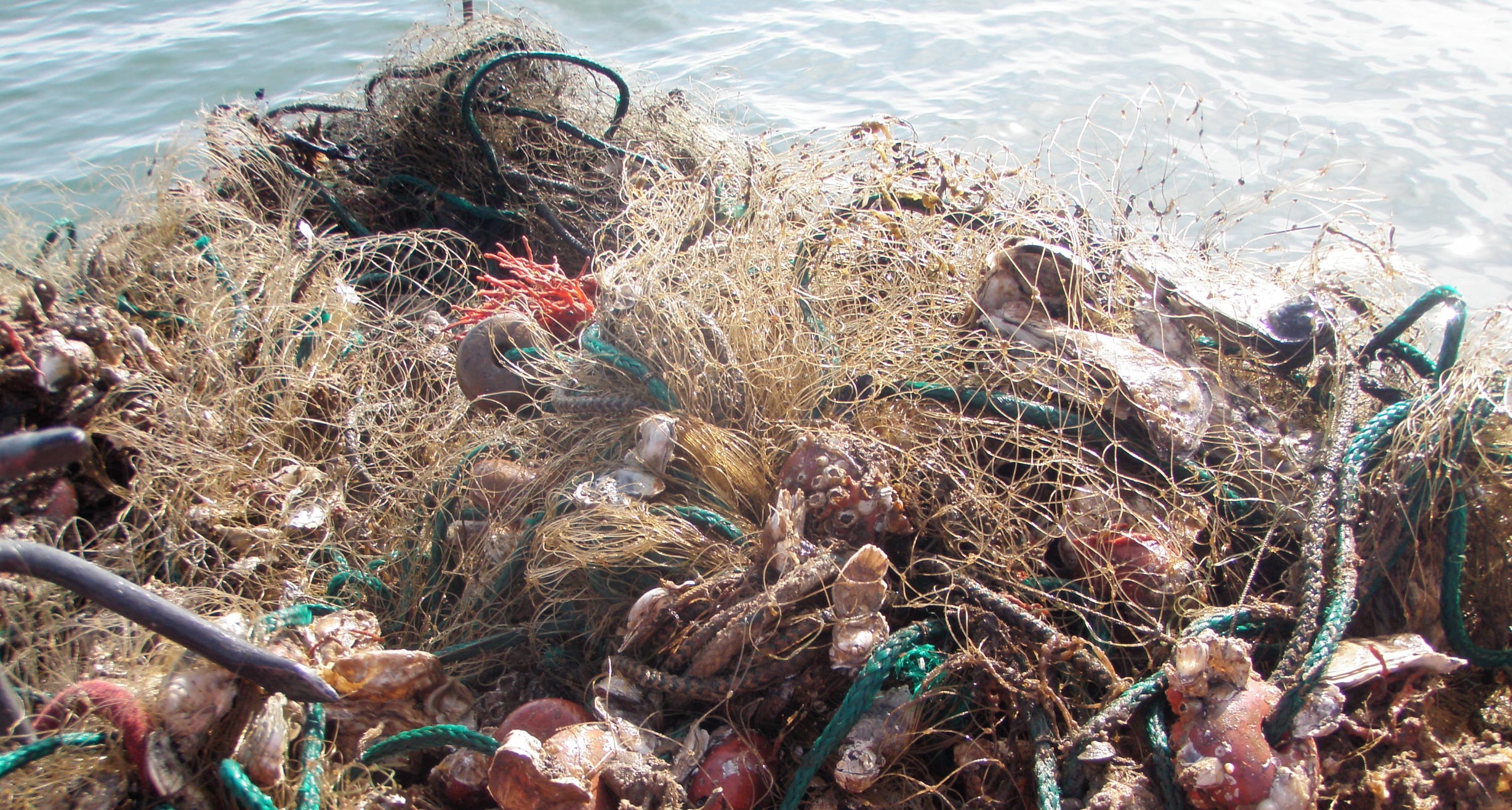 Lost fishing gear pulled from the water