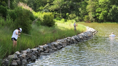 People measuring along a rocky shoreline with a tape while others stand in the water nearby.