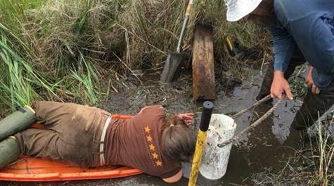Two people working in a muddy marsh, one lying on a board while collecting a water sample from a pipe with tools and a bucket.