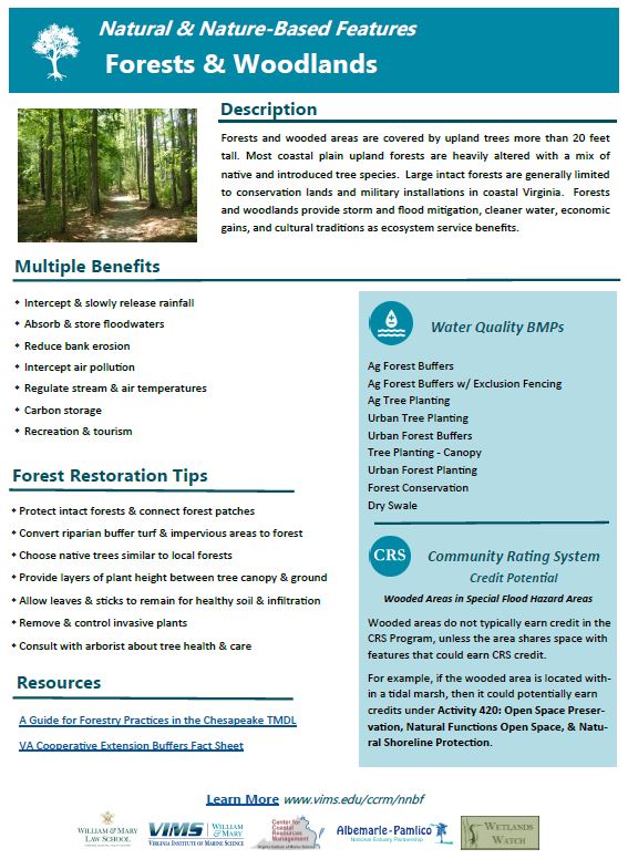 Fact sheet titled “Forests & Woodlands” describing upland forests and benefits like flood reduction, water quality, habitat, and recreation, with sections on restoration tips, BMPs, CRS credit potential, and resources.