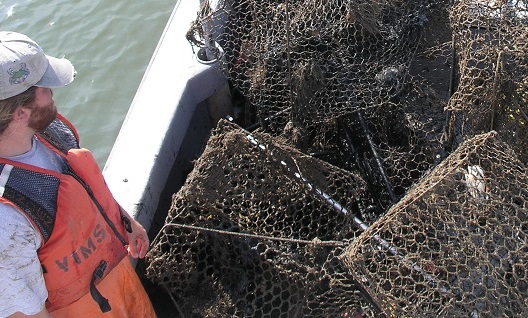 Pile of wire crab traps on a boat deck with debris, with a person in an orange life vest standing nearby.