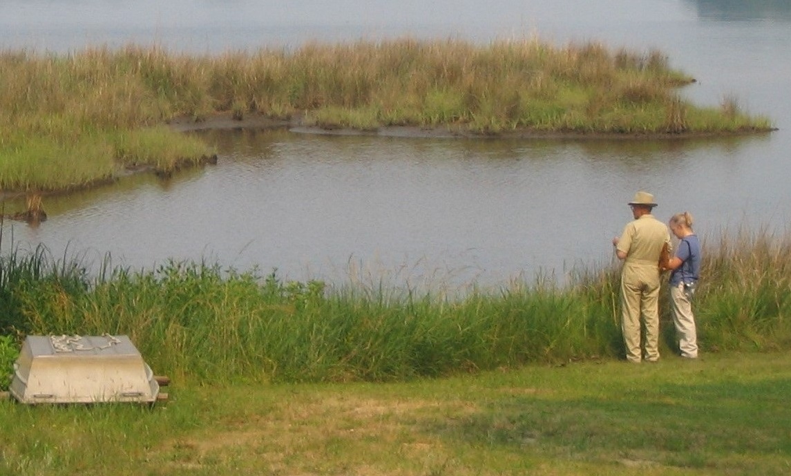 Two people standing on a grassy bank examining the shoreline beside calm water and marsh vegetation.