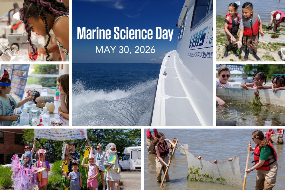 Collage image showing activities provided at Marine Science Day open house.