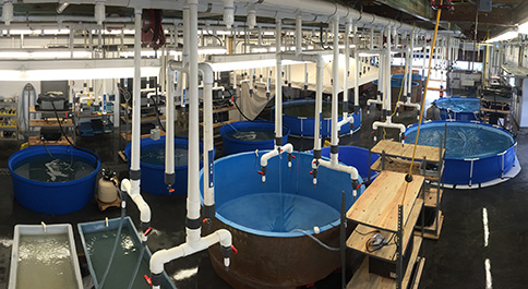Seawater Laboratory space