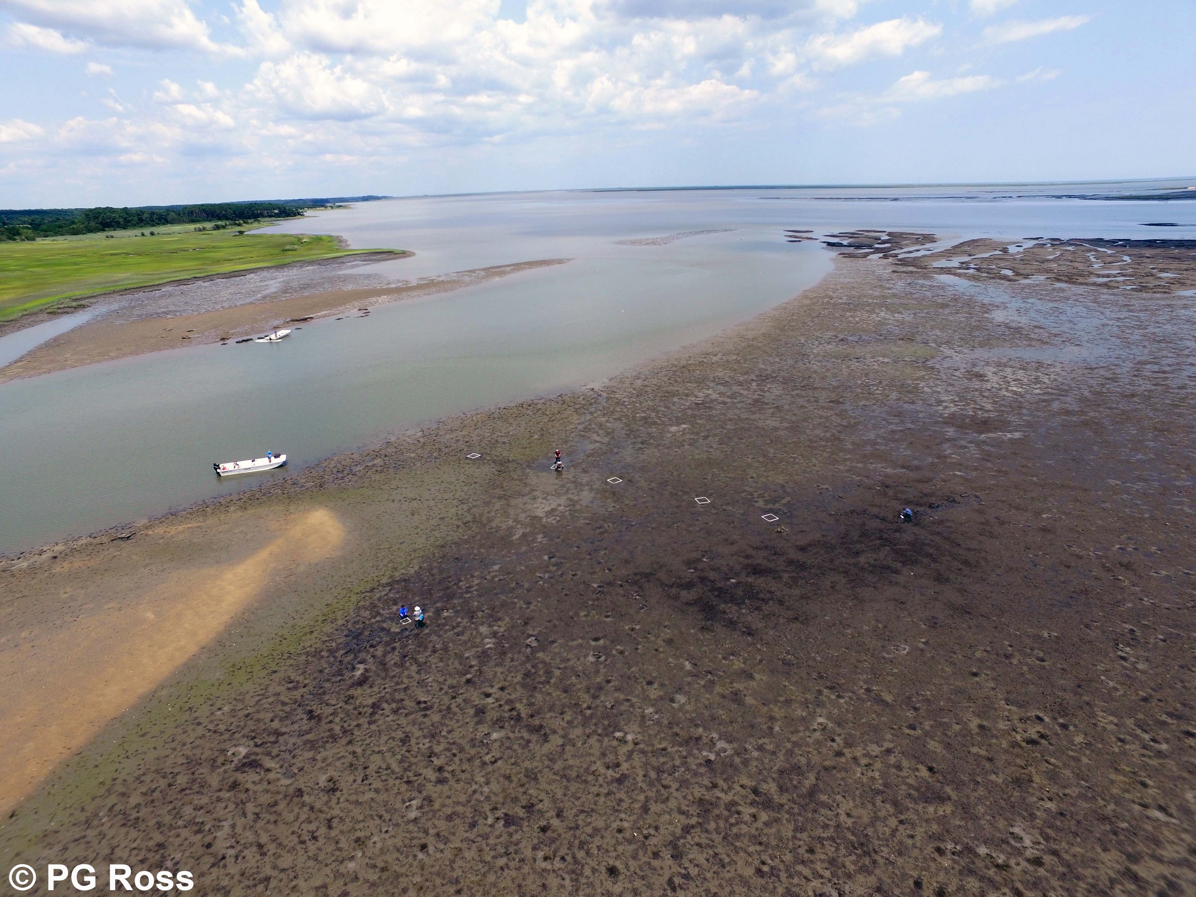 VIMS Eastern Shore Laboratory vessel on a Wachapreague mudflat