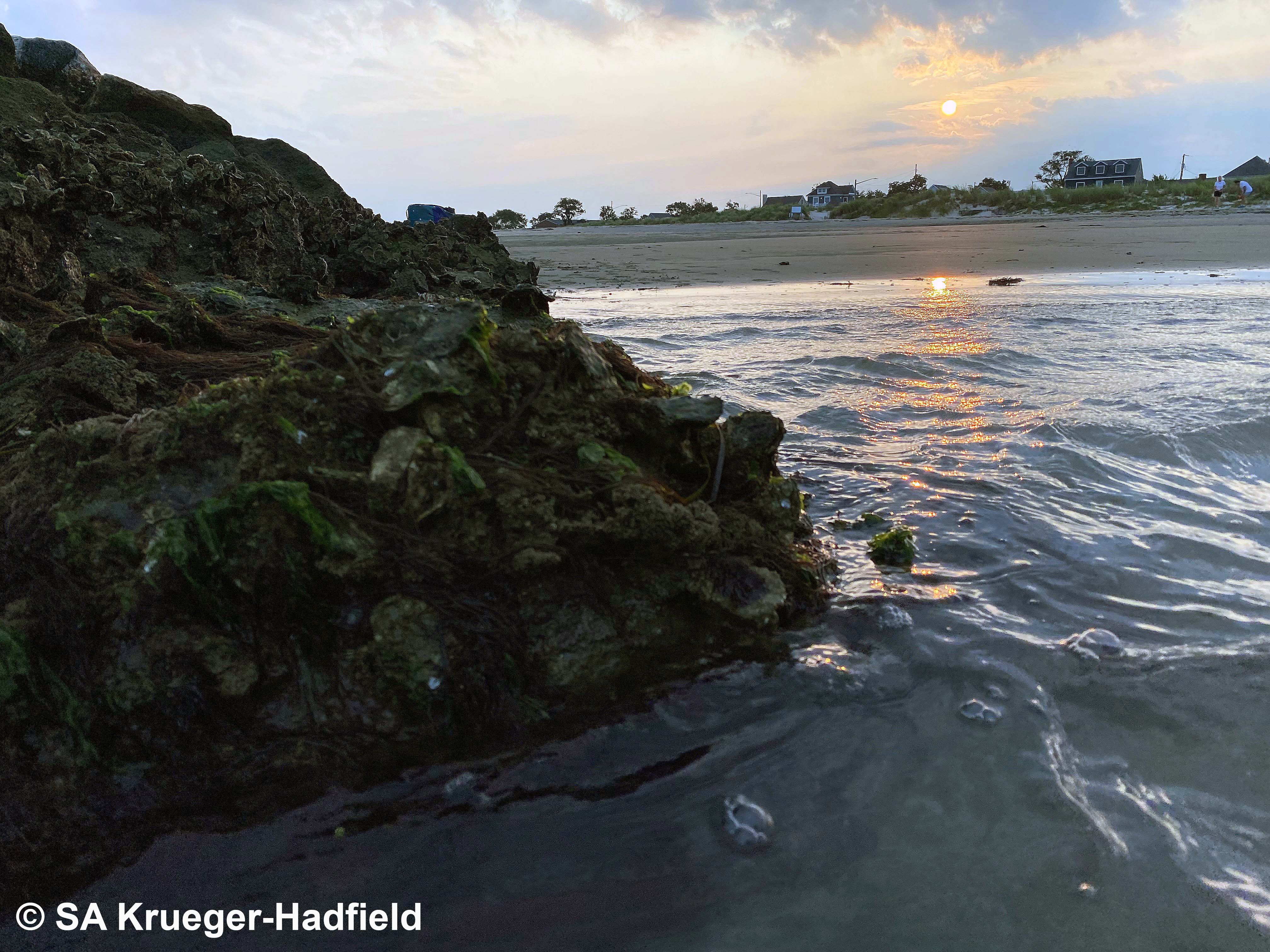 Cape Charles sunrise