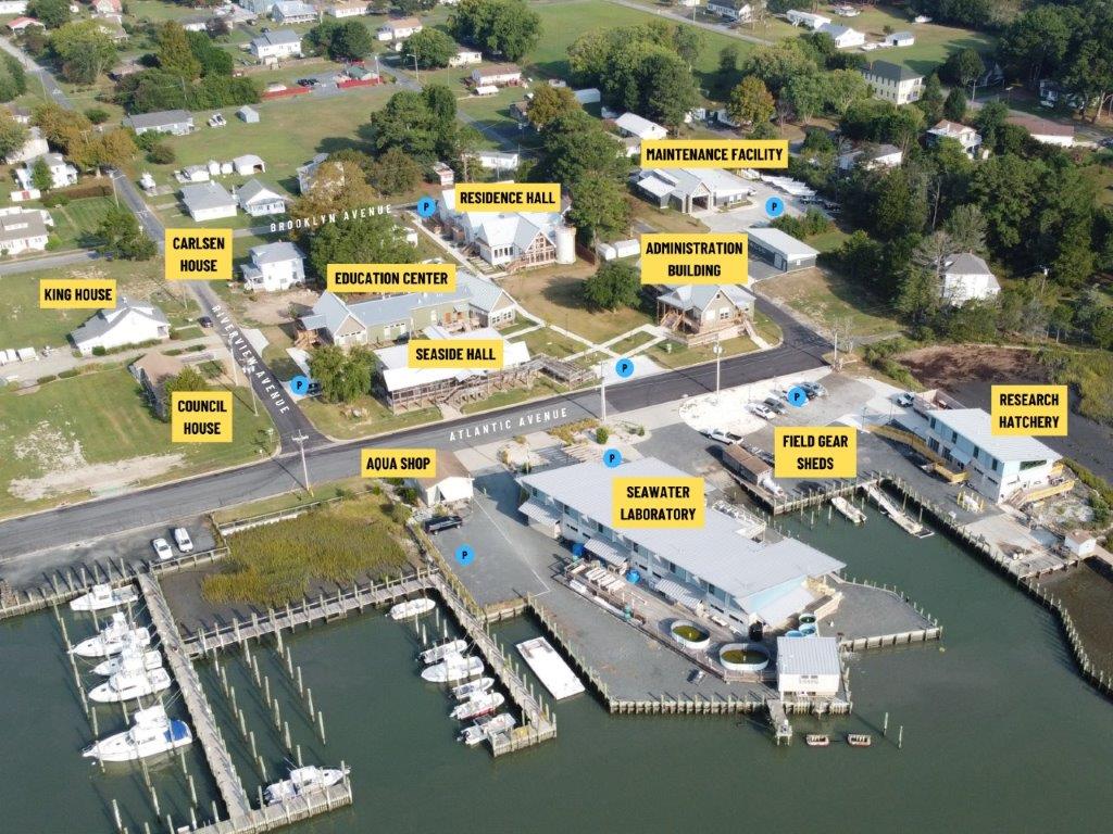 2023 esl campus