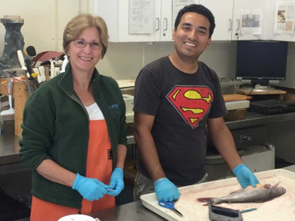 Mary Fabrizio (left) and Vaskar Nepal (right) processing blue catfish samples in 2017. Photo provided by Mary Fabrizio.