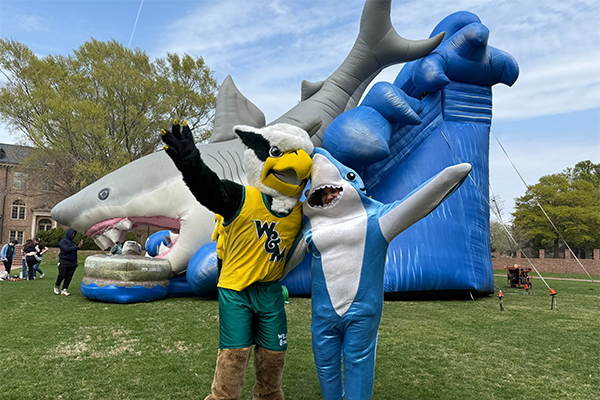 The W&amp;M griffon mascot and a shark mascot.