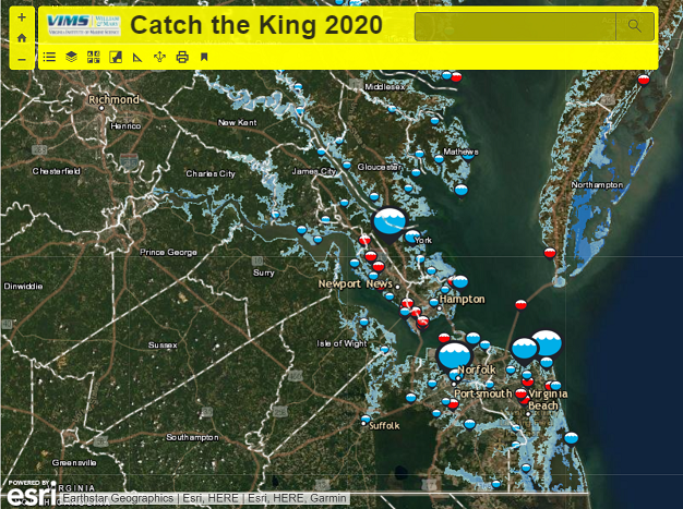 Catch the King 2020