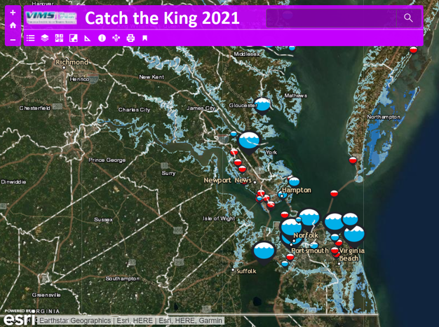 Catch the King 2021