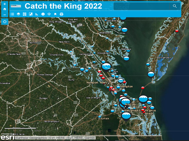 Catch the King 2022