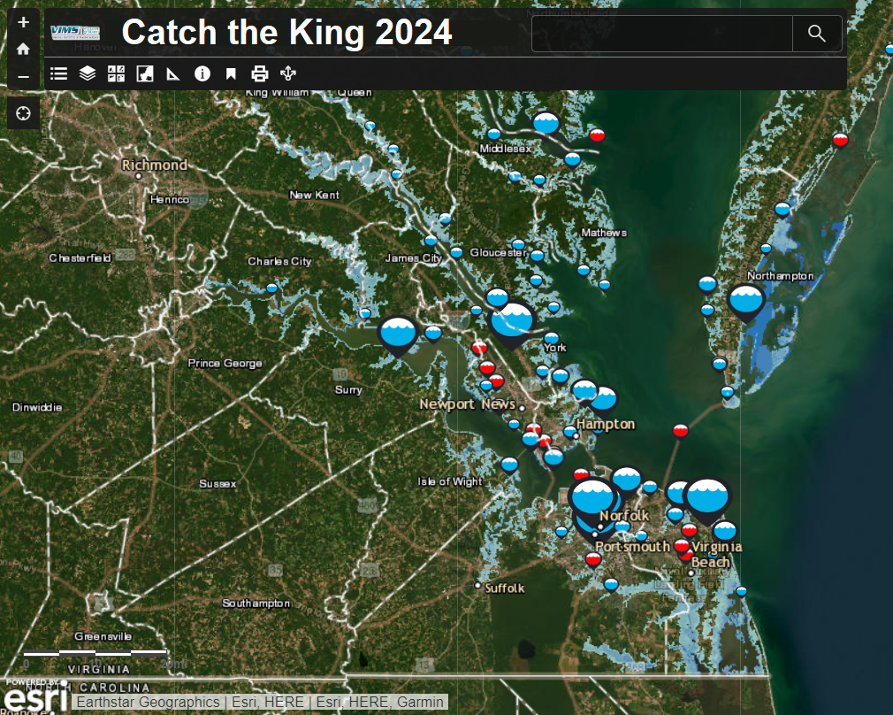 Catch the King 2024