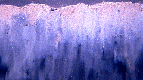 The Benthos