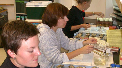 Molecular diagnostics