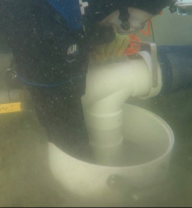 VIMS researcher Jim Goins vacuums up particles from a restored oyster reef to study the health and diversity of the oyster-reef community. © L. Kellogg/VIMS.