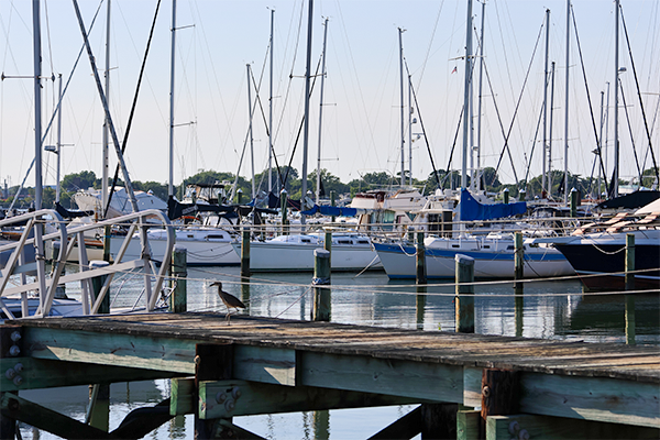 Old Pointe Comfort Marina