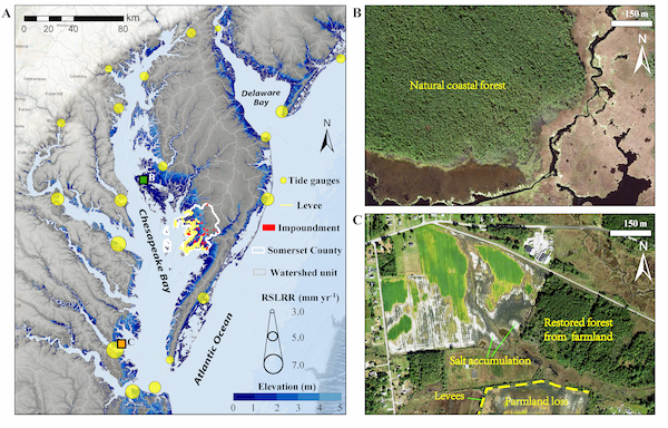 (Click to enlarge) Panel A is a regional map of the Chesapeake Bay, Delmarva Peninsula, and Delaware Bay. Labels B and C show the locations of the two aerial photographs.