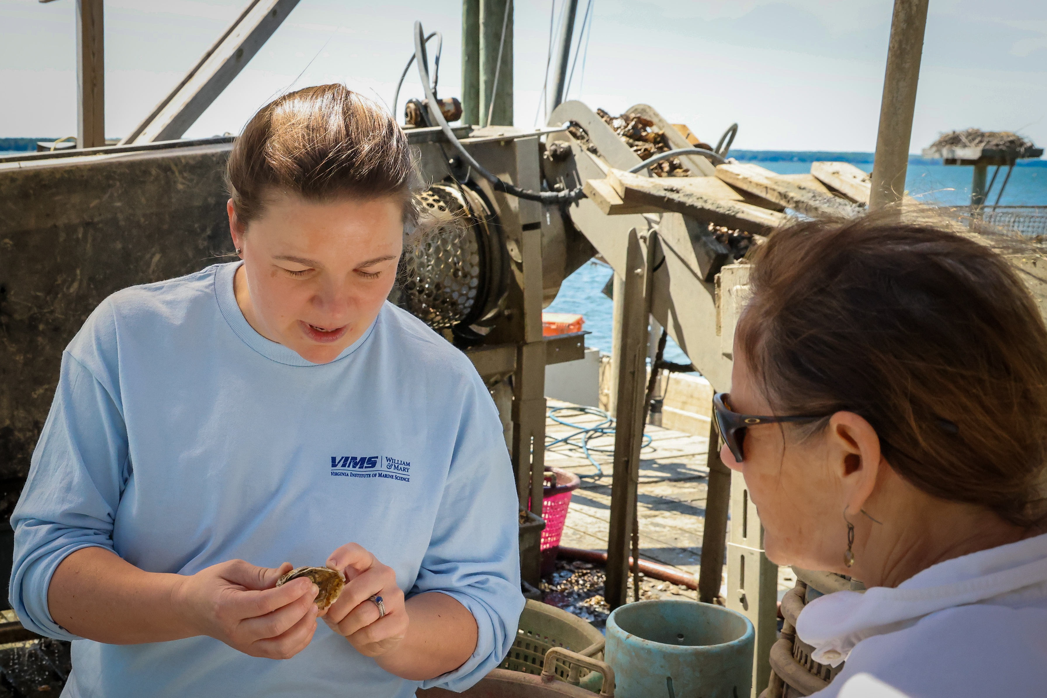 Emily Rivest discusses the impacts of acidification on oysters with advisory committee member, Marcia Berman. Photo by Patrick McGettigan.