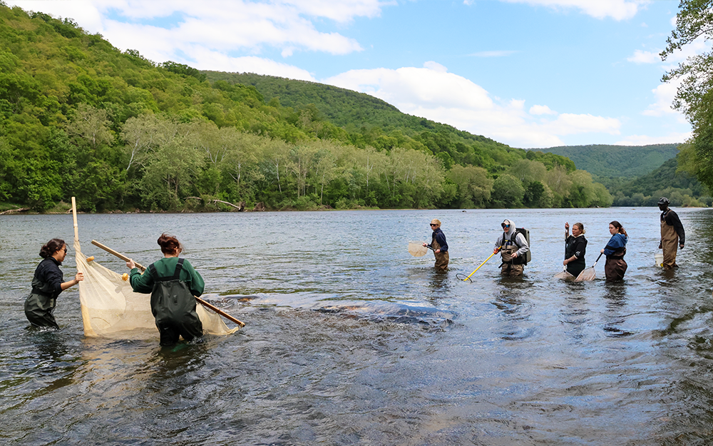 Roanoke Roundup participants collecting freshwater specimens in the New River.