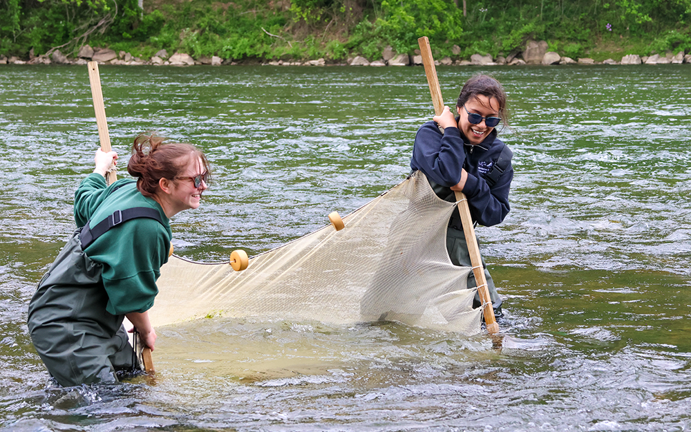 Graduate students Kelly Gonzalez (left) and Shyane Masters (right) use a seine net to capture stunned fish in rapid currents. Photo by John Wallace.