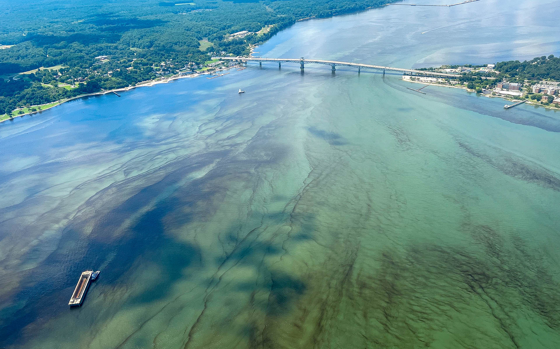 A harmful algal bloom at the mouth of the Chesapeake Bay near Yorktown, VA. Fueled by nitrogen pollution, algal blooms eventually die and consume oxygen as they decompose, contributing to low-oxygen “dead zones” in the Bay. Photo by Savannah Mapes.