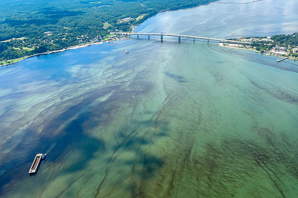 A harmful algal bloom at the mouth of the Chesapeake Bay near Yorktown, VA. Fueled by nitrogen pollution, algal blooms eventually die and consume oxygen as they decompose, contributing to low-oxygen “dead zones” in the Bay. Photo by Savannah Mapes.