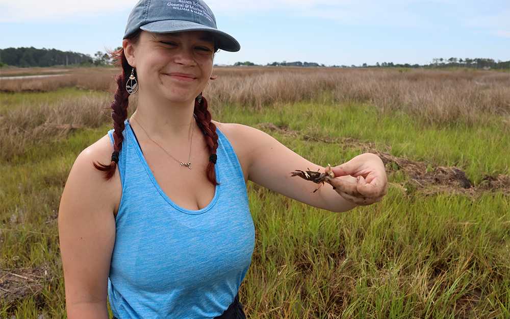 Caitlin Murphy holding a fiddler crab she collected while in the field. Photo by Piper Gilly.