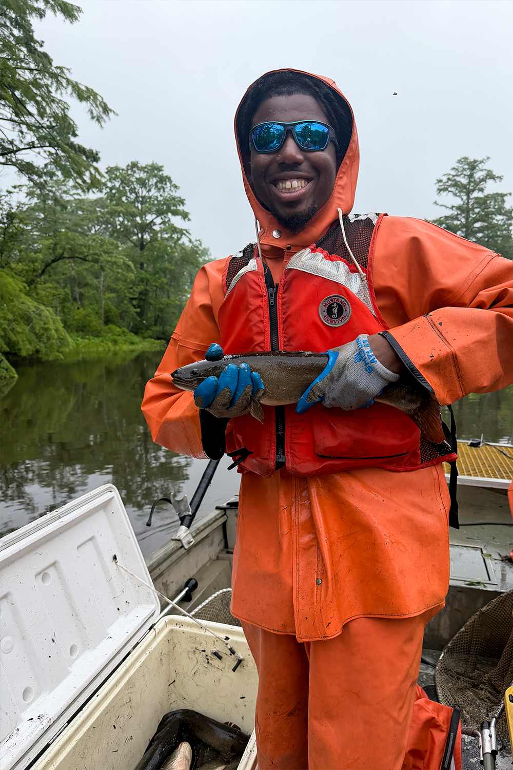Darius McCallum in the field collecting bowfin for sampling. Photo provided by McCallum.
