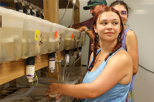Caitlin Murphy feeding crabs within her lab. Photo by Piper Gilly.