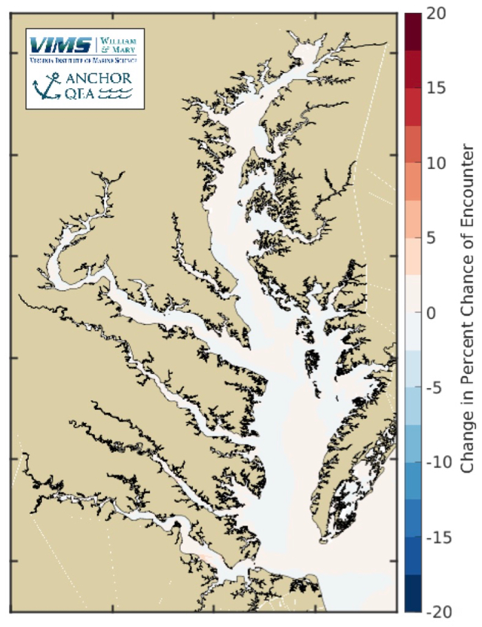Bay Nettles Forecast