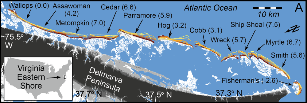 Map of Virginia barrier island system with color-coded historical shorelines drawn overtop, showing that some islands in the chain are moving landward and some are moving seaward over time