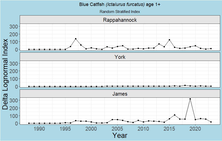 Year 1 Blue Catfish Indices