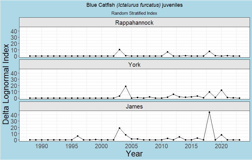Young of Year Blue Catfish Indices