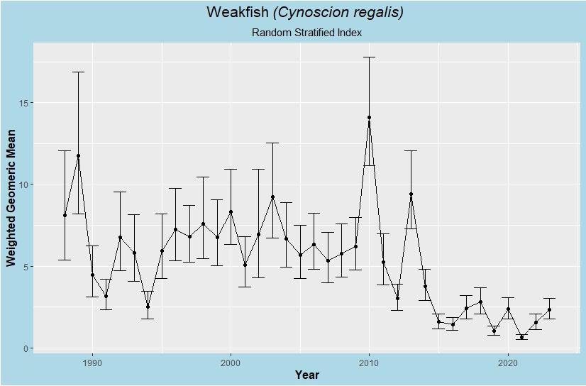 Weakfish young-of-year index of abundance figure. The graph shows Weakfish young-of-year annual indices of abundance from all sampling stations from 1988 to 2023.