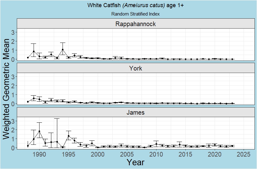 White Catfish age 1+ index of abundance figure. Each graph shows White Catfish age 1+ indices of abundance for the Rappahannock River (top), York River (middle), and James River (bottom) from 1988 to 2023.