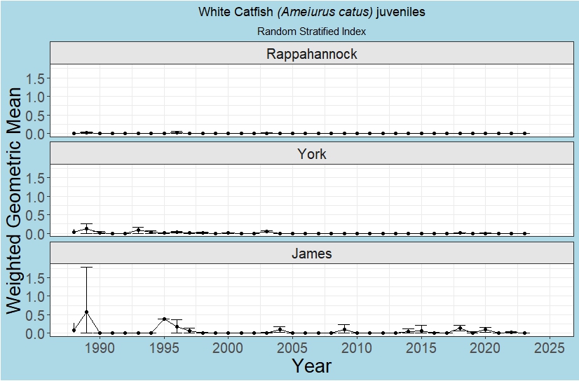 White Catfish young-of-year index of abundance figure. The graphs show White Catfish young-of-year annual indices of abundance for the Rappahannock River (top), York River (middle), and James River (bottom) from 1988 to 2023.