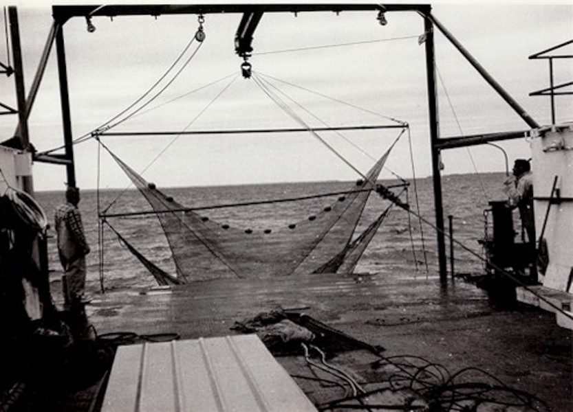 Deploying the trawl net for a tow
