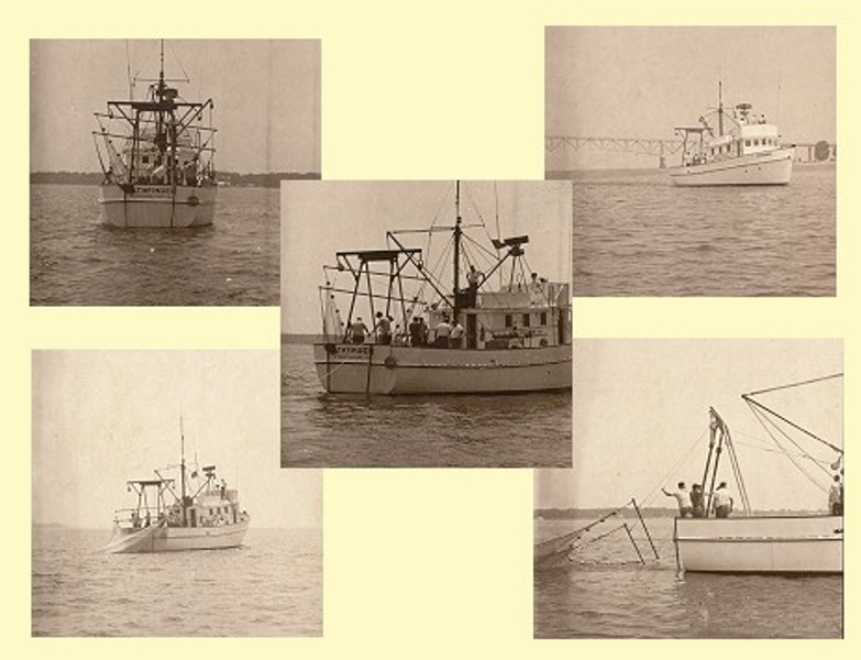 Archival album layout of photos from the Juvenile Finfish Trawl