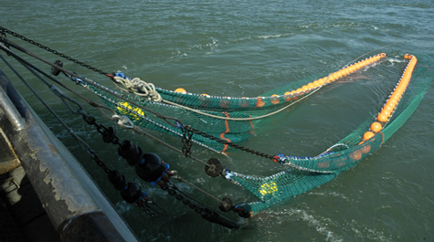 NEAMAP net deployed off the stern deck
